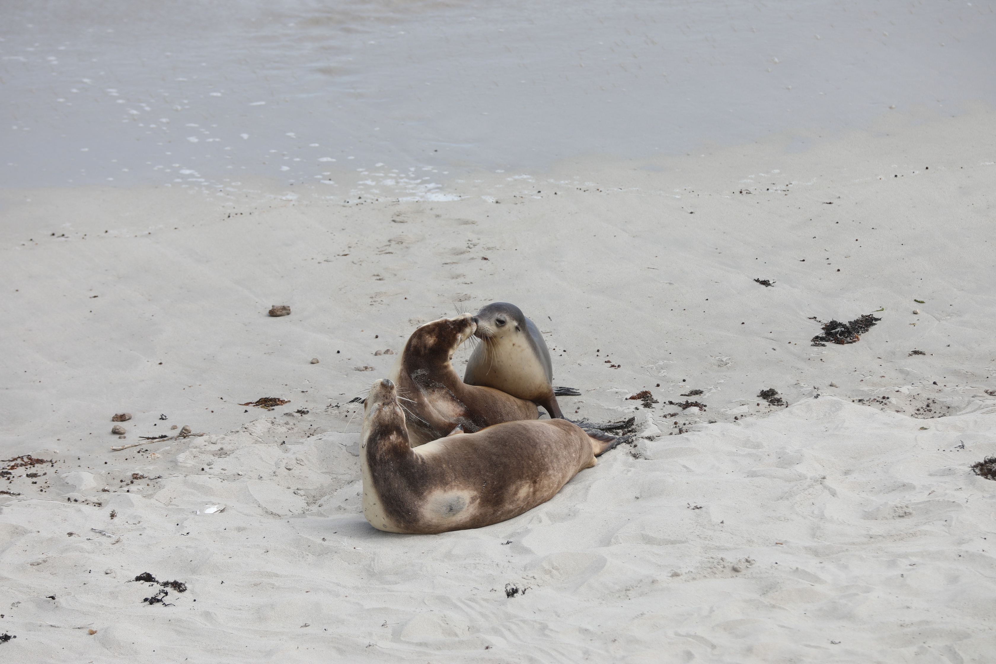 2019 09 29 14 10 38 Canon EOS 5D Mark IV 0047